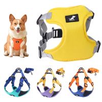 【FCL】♘ Dog Harness and Leash Set Adjustable Chest for Small Medium Walking Leads Chihuahua Bulldog Supplie