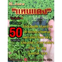 แหนเเดง ไมโครฟิลล่า ??โลละ50฿เท่านั้น‼️ขายราคาถูกที่สุดในประเทศไทย