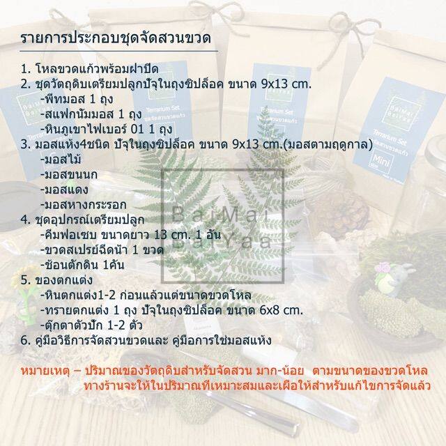 ชุดจัดสวนขวดแก้ว-diy-ทรงเหลี่ยม-ไซค์m-set-x2-ราคาประหยัดไปถึง-49บาท-จากราคาปกติ-2ชุด-538บาท