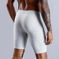 2023 New Style Cotton Boxer Long Leg Underwear For Man Shorts Big Size And Panties Homme Luxury Brand Boxerhomme Underpants