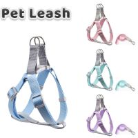 Adjustable Dog Harness with Leash Solid Soft Puppy Harness Vest Outdoor Walking Pet Rope Nylon Cat Harness Chihuahua Accessories Leashes