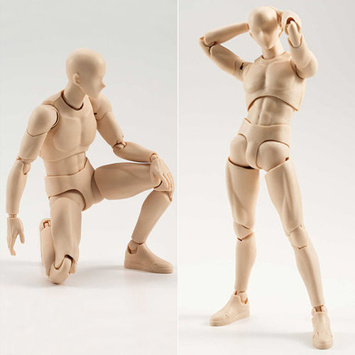 Mô Hình Người Nam Figure Anatomy BodyKun Hỗ Trợ Vẽ Cơ Thể Người   BookBuyvn