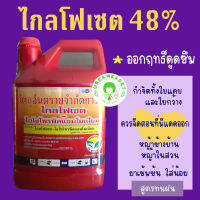 ไกลโฟเสท 48% ขนาด 4 ลิตร สูตรทนฝน เข้มข้นสูง มีสารจับใบ+surfactant ลดแรงตึงผิวของใบในตัว ทำให้ยาอยู่ติดดี อยู่นาน ใช้แค่ 100 ซีซี ผสมน้ำ 20 ลิตร ฉีดให้มีแดด มีแกลลอน 3 สี