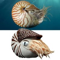 18X20cm Lifelike Nautilus Plush Toys Real Life Chambered Nautilus Stuffed Animal Toy Soft Sea Life Toys Gifts For Kids