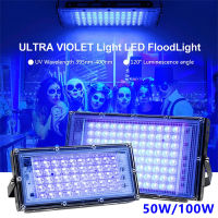 50W 100W LED Flood Light Spotlight UV Fluorescent Stage Lamp EU Plug For Bar Dance NewYear Party Blacklight Indoor Flood Light