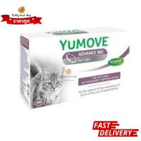 Lintbell Yumove advance 360 for Cat 60 เม็ดบำรุงข้อ กระดูก สำหรับแมว EXP8/2024