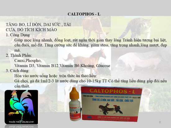 Caltophos 10ml x 10 lọ bồi bổ, bung lông, bật cựa cho gà, vit, chim, cút - ảnh sản phẩm 1