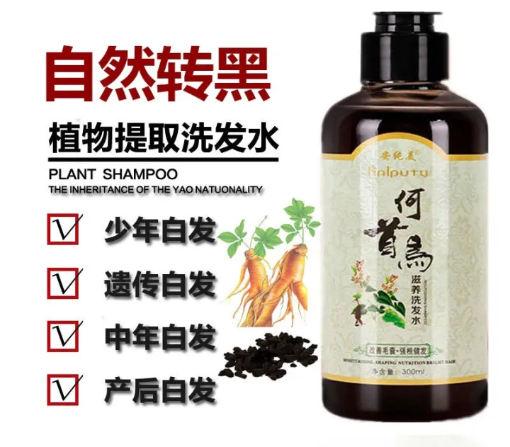 BUNDLE OF 2) Polygonum Multiflorum Herb Shampoo Plant Black Hair Shampoo White Hair Turns Black | Lazada Singapore BUNDLE OF 2) Polygonum Multiflorum Herb Shampoo Plant Black Hair Shampoo White Hair Turns Black | Lazada Singapore
