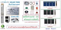 Handuro ปั๊มซัมเมอร์ส DC บัสเลส 750W บ่อ4นิ้ว น้ำออก 2นิ้ว พร้อมอุปกรณ์ติดตั้ง