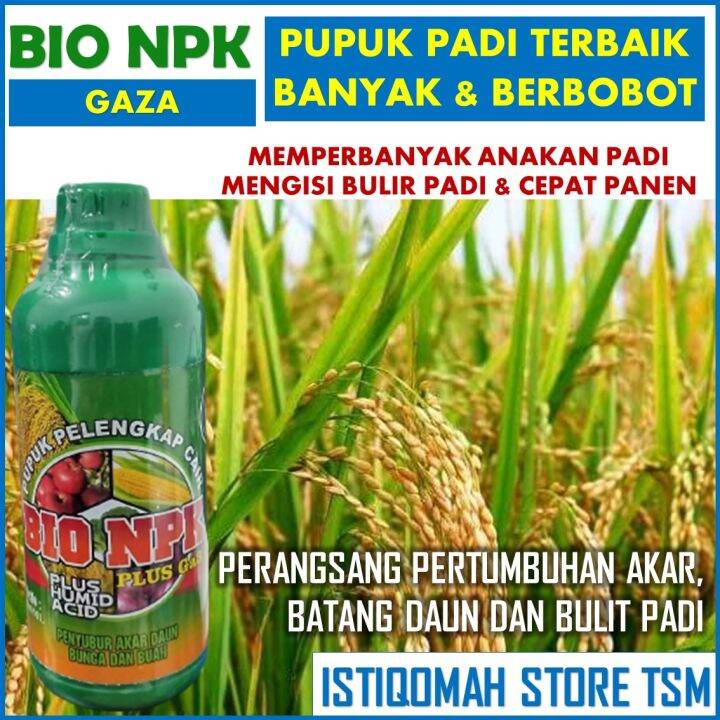 Promo Pupuk Pelebat Buah Tanaman Padi Berisi Berbobot Bio Npk Gaza Ml Pupuk Npk Cair Semprot