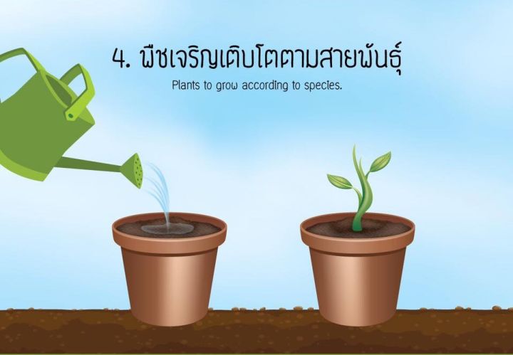 coco-peat-อัดก้อน-ขุยมะพร้าวอัดก้อน-growplus-cocopeat-plus-ขุยมะพร้าวอัด-10kg-ขุยมะพร้าวแห้ง-โคโค่พีช-โค่โค่พีท-100-ลิตร-cocopeat-ขุยมะพร้าว-ขุยมะพร้าวก้อน