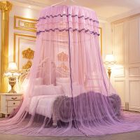 Elegant Round Lace Curtain Dome Princess Fairy Wonderland Bed Canopy Netting Mosquito Nets Home Decal Princess Bed Nets