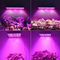 ไฟLED ไฟ Grow Light 45W 169LED 220V ไฟปลุกต้นไม้ ไฟช่วยต้นไม้ตัวเร็ว แถมสายไฟให้ 1/PCS