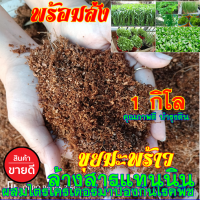 ขุยมะพร้าว ล้างสารเทนนิน น้ำหนัก 1 กิโลกรัม(ประมาณ5ลิตร)แบบแห้งเบาได้เยอะมาก ผสมเชื้อไตรโครเดอร์ม่า ใช้ผสมดินปลูก เพาะกล้าอย่างดี