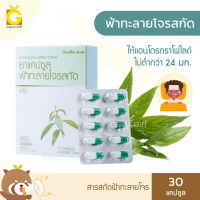 ฟ้าทะลายโจรสกัด กิฟฟารีน Fa-Thalai-Joan Extract Capsule Giffarine ขนาด 30 แคปซูล ฟ้าทะลายโจรแคปซูล สารสกัดฟ้าทะลายโจร ให้แอนโดรกราโฟไลด์ไม่ต่ำกว่า 24 มก.