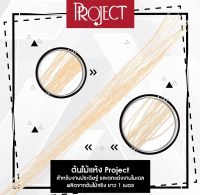 (KTS)ต้นไม้แห้ง Project ใช้ในงานโมเดล งานฝีมือ งานสถาปัต งานออกแบบจำลอง