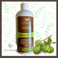 Conscious living: Natural Shampoo from Plants and fruit