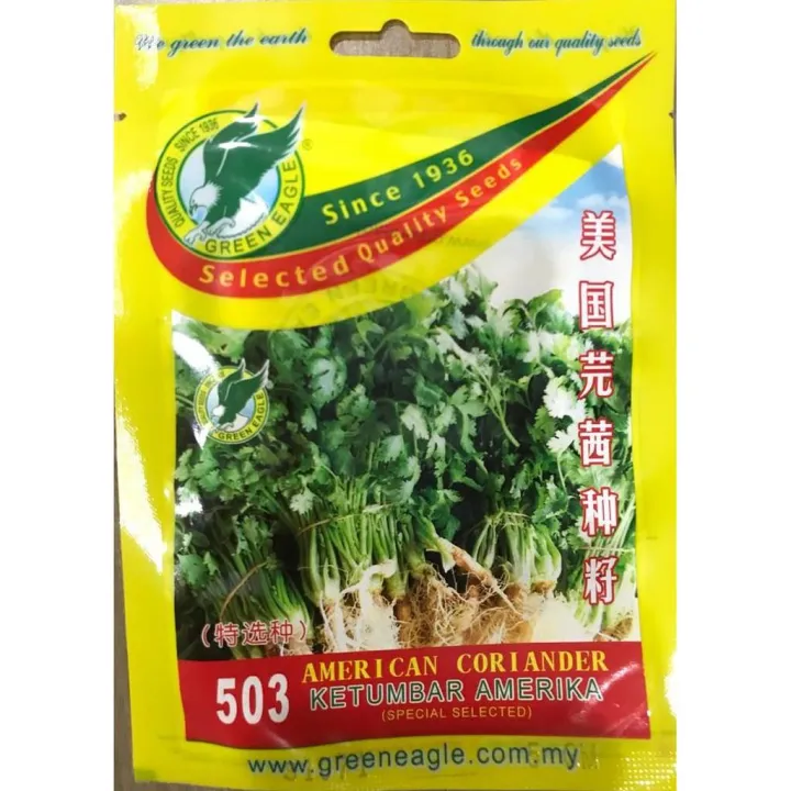 503 AMERICAN CORIANDER KETUMBAR AMERIKA Lazada