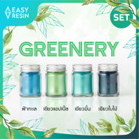 สีผสมเรซิ่น Greenery SET (ส่งฟรี) เมทัลลิคประกาย สีสด ใช้กับเรซิ่นทุกชนิด เช่น เรซิ่นใส เรซิ่นทำเคส เรซิ่นเครื่องประดับ เรซิ่นหล่อไม้ เรซิ่นเคลือบไม้ เรซิ่นงานไม้ เรซิ่นอีพ็อกซี่ Epoxy Resin