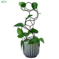 AERJ Potted Plants Supporting Frame Promote Plants Growth Support Stand for Indoor and Outdoor Plants AJ-MY