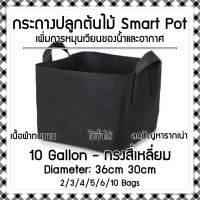 [พร้อมส่ง]!!!ลดถุงปลูกต้นไม้แบบผ้า กระถางต้นไม้ผ้า ทรงสี่เหลี่ยม Smart Grow Bag - Square ขนาด 10 แกลลอน กว้าง 36cm สูง 30cm[สินค้าใหม่]