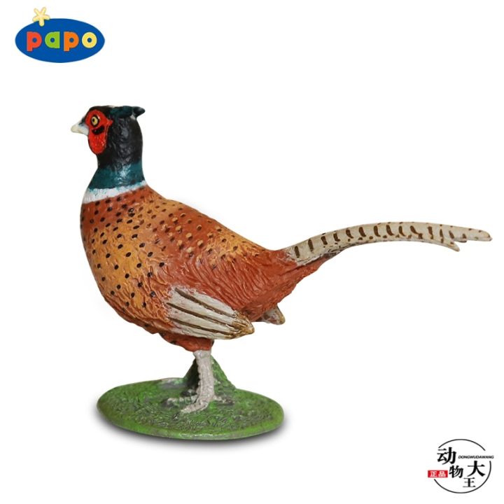 french-papo-2020-new-pheasant-pheasant-pheasant-simulation-plastic-animal-model-toy-ornament-50263