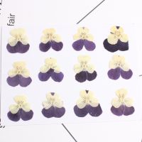 ดอกไม้ Pansy แฮนด์เมดวัสดุทำแห้งดอกไม้ตกแต่งบ้านวันเกิดของตกแต่งงานปาร์ตี้ผู้ใหญ่