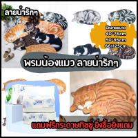 พรมเช้ดเท้า พรมเช็ดเท้า 3d พรมแมวขนาดใหญ่ cartoon floor mat กระเบื้อปูพื้น 3มิติ ผ้าเช้ดเท้าลายการ์ตูน พรม ปู พื้น ห้อง 3d พรม 3dเช็ดเท้า พรมแมว