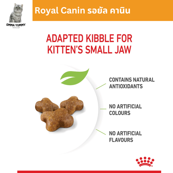 royal-canin-kitten-10kg-อาหารเม็ดลูกแมว-อายุ-4-12-เดือน