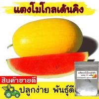 HOT SALE !!ราคาถูกมากๆ## เมล็ดพันธุ์ แตงโม โกลเด้นคิง เปลือกเหลือง เนื้อแดง ขนาด 50 เมล็ด ปลูกง่าย ลูกดก กรอบอร่อย น้ำหนัก 3-5 กก. ทนทานต่อโรค