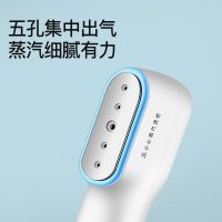 Hand-Held Garment Steamer Household Steam Mini Electric Iron all Portable Hanging Dormitory Ironing Clothes Pressing Machines Hot