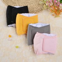 Underwear Physiological Trousers Female Large Pants Dog Waterproof Dog Hygienic Panties Sanitary Briefs Diapers Big Dogs