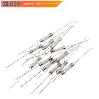 10PCS 5*20mm5X20MM Fast Break Ceramic Fuse Slow Blow Tube Fuse With a pin  250V 0.5A 1A 2A 3A 4A 5A 6A 7A 8A 10A 12A 15A 20A 25A Electrical Circuitry