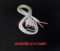 USB ท้ายเปลือย *ลดราคาพิเศษ* (1 เส้น)