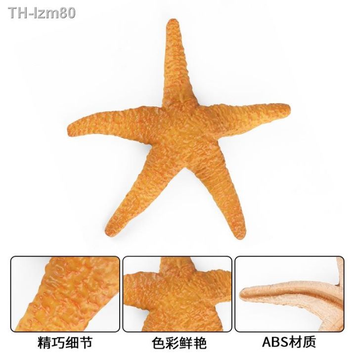 ของขวัญ-childrens-educational-simulation-model-of-marine-biological-starfish-echinoderms-solid-plastic-bottom-cognitive-toys