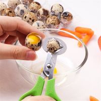 2PCS Stainless Steel Quail Egg Scissors Egg Shell Cutting Scissors Egg Divider Egg Opener Kitchen Egg Scissors Tools