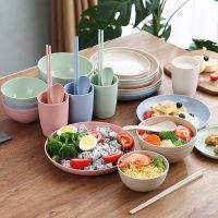 Wheat Straw Tableware Set Home Dining Plate Rice Bowl Water Cup Outdoorcamping Portable Dinnerware Set Microwave Dishwashe