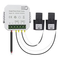 Tuya Smart WiFi Energy Meter 80A with Current Transformer Clamp KWh Power Monitor Electricity Statistics 90- 250V