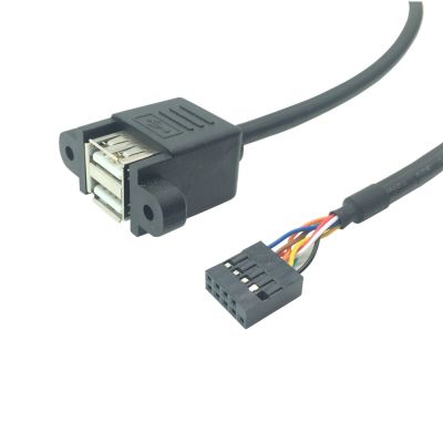Motherboard Internal 9Pin 9P ke Dual 2-port USB 2.0 A Female Panel Mounting kabel DATA komputer kabel Data 30cm 50cm
