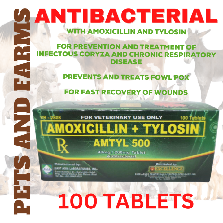 AMTYL 500 ANTIBACTERIAL TABLETS PARA SA HALAK PISIK SIPON NG MANOK 100 ...