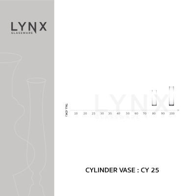 LYNX - CYLINDER VASE 25 - แจกันแก้ว แฮนด์เมด เนื้อใส ทรงกระบอก ปากและฐาน 25 ซม. ความสูง 80 ซม. และ 100 ซม.