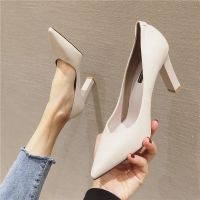 รองเท้าส้นสูง chunky-heel ของผู้หญิง2023ฤดูใบไม้ผลิใหม่ปากตื้นชี้รองเท้าเกาหลีป่า