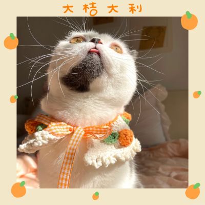 [HOT!] New style handmade cat dog collar crocheted woolen thread bandage cape pet knitted bib cute cat necklace cat collar