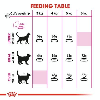 petclub-royal-canin-aroma-exigent-แมวโต-ช่างเลือก-ที่ชอบอาหารที่มีกลิ่นหอม-3-ขนาด-400g-2kg-4kg