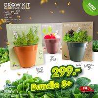 ?(Flash-Sale) ชุดปลูกผักสลัด Grow kits: Bundle s+ Very Hot ชุดปลูกผักน้ำ