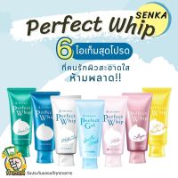 SHISEIDO Senka Whip Foam and Gel