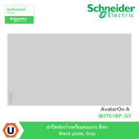 Schneider Electric ฝาปิดช่องว่างพร้อมตะแกรง สีเทา Blank plate, Gray รุ่น AvatarOn A : M3T01BP_GY สั่งซื้อได้ที่ร้าน Ucanbuys