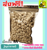 500 กรัม พร้อมทาน ถั่วพิสตาชิโอ พิตาชิโอ อบเกลือ พิสตาชิโอ้ Salted Pistachio (มีให้เลือก 500 และ 50กรัม) พิตาชิโออบเกลือ ขนมติดบ้าน ถั่วพิตาซิโอ้