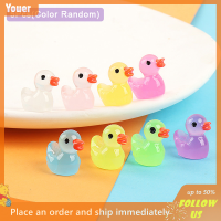 【Youer】 พืชอวบน้ำ5ชิ้นรูปเป็ดเรืองแสงสำหรับตกแต่งแบบ DIY