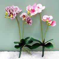 【cw】Artificial Phalaenopsis Flower Plastic Orchid nch With Leaves Fake Flowers for Wedding Backyard Living Room Decoration ！